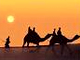 Pushkar Camel Fair