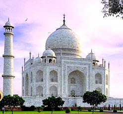 Taj Mahal Tour, India