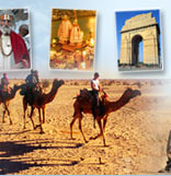 Camel Safari Rajasthan