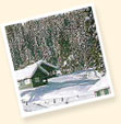 Gulmarg, Kashmir