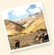 Leh Ladakh