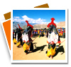 Ladakh Fairs & Festivals