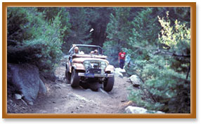 Jeep Safaris, Ladakh