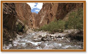 Mountain Stream in Ladakh