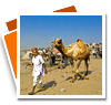 Pushkar Fair