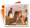 Pushkar Camel Fair