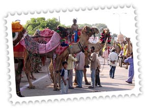 Mewar Festival Rajasthan