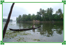 Alleppey Backwaters, Kerala