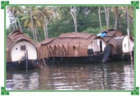 Alleppey Backwaters, Kerala