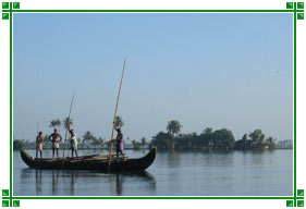 Backwaters of Kumarakom