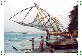 Chinese Fishing Nets, Fort Kochi