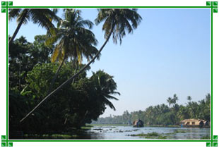 Backwaters of Kerala