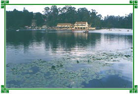 Kodaikanal Lake, Kodaikanal