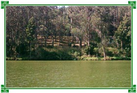 Lake, Ooty