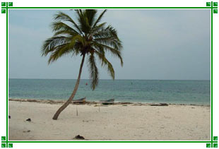 Islands, Lakshadweep