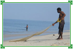 Mararikulam, Kerala