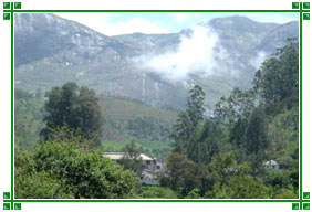 Munnar Hills, Kerala