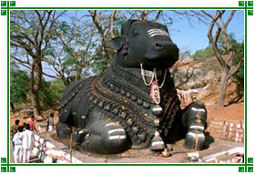 Nandy Bull, Chamundi Hills, Mysore