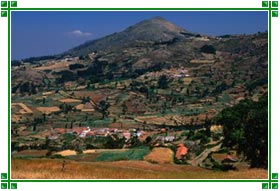 Nilgiri Hills
