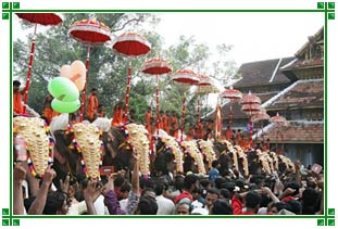 Thrissur Pooram, Kerala