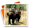 Kanha Elephant Safari