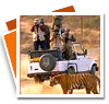 Ranthambhore Tiger Safari