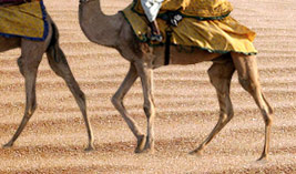 Rajasthan Tourism