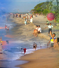 Tamilnadu Beach