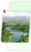 Munnar Hills, Kerala