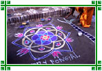 Pongal Celebration, Chennai