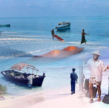 South India Beach